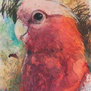 Jane Smeets' "Galah" Mixed Media On Canvas painting product