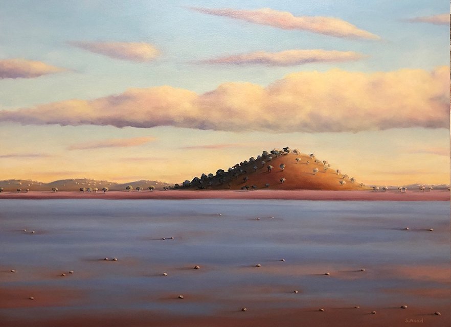 Shane Moad's Morning at Lake Ballard oil painting