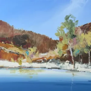 Craig penny's "Ormiston gorge" Acrylic on canvas artwork for sale
